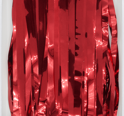 Cortina de fiesta 1x2,4m